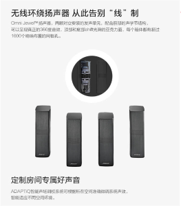 BOSE Lifestyle 650 （单位:套 规格:套装）