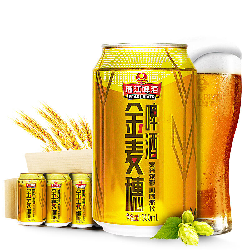 珠江啤酒(PEARL RIVER) 啤酒 10度 金麦穗  (单位: 箱 规格: 330ml*24听)